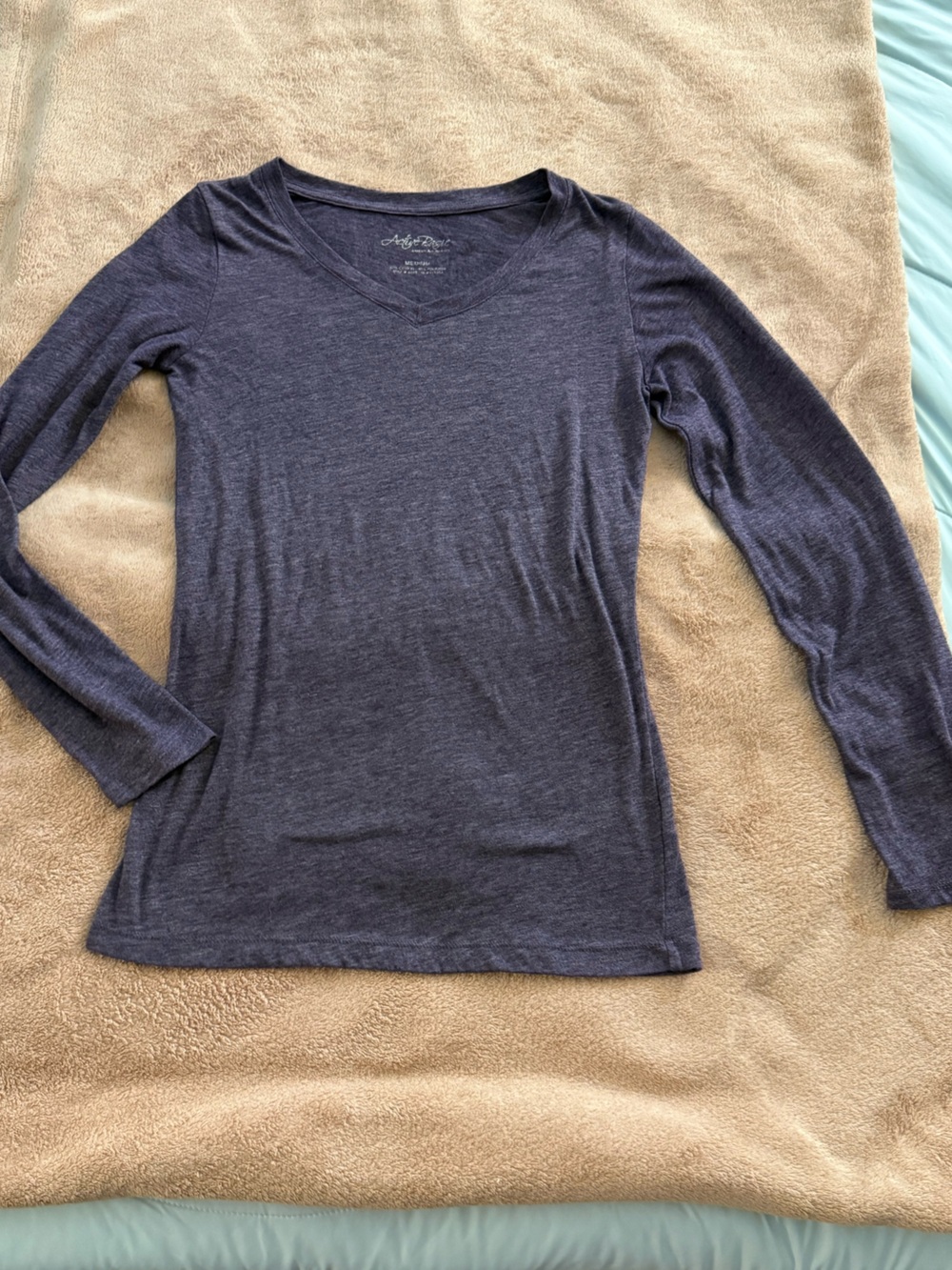 Active Basic Purple Long Sleeve V-Neck Top